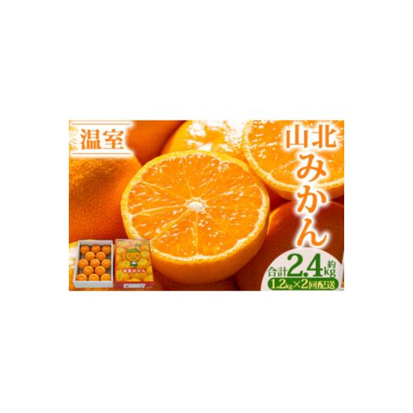 【2回定期便】山北温室みかん1.2kg Wku-0059