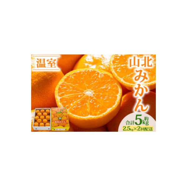 【2回定期便】山北温室みかん2.5kg Wku-0061