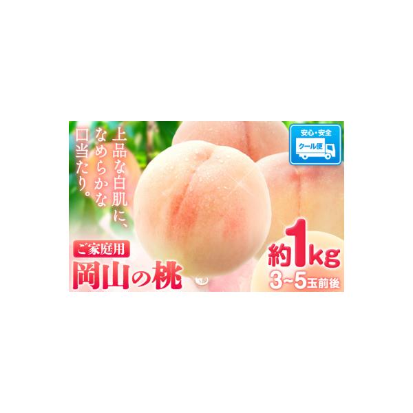 【2027年発送】 岡山の桃 約1kg《2027年6月下旬～9月上旬頃出荷》岡山県 笠岡市 白桃