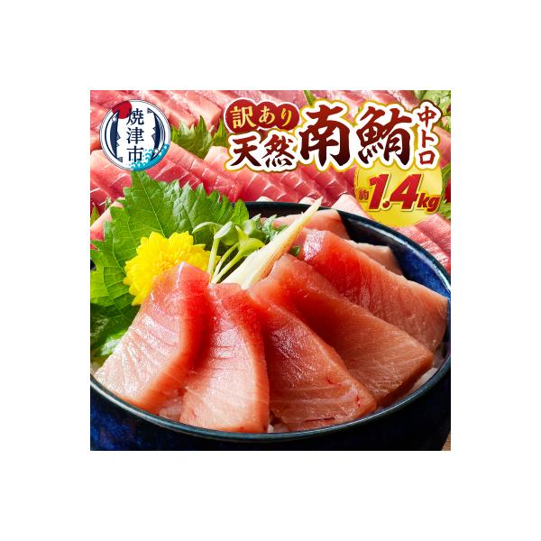 訳あり ミナミマグロ 刺身 中トロ 天然 切り落とし 約1.4kg(a35-018)