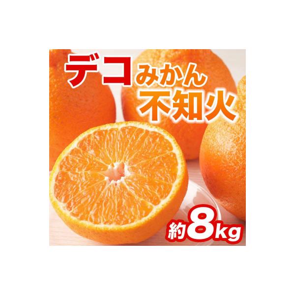 八代市 【先行予約】不知火 約8kg (18〜37玉)【2027年2月上旬より順次発送】_232-6637