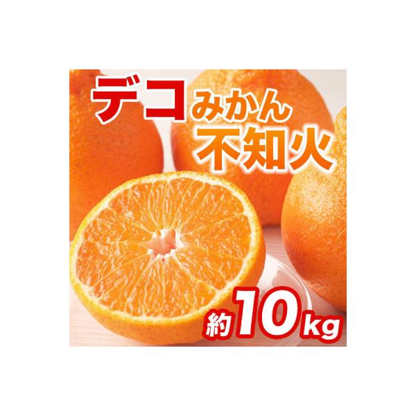 八代市 【先行予約】不知火 約10kg(24〜48玉) 【2027年2月上旬より順次発送】_232-6638