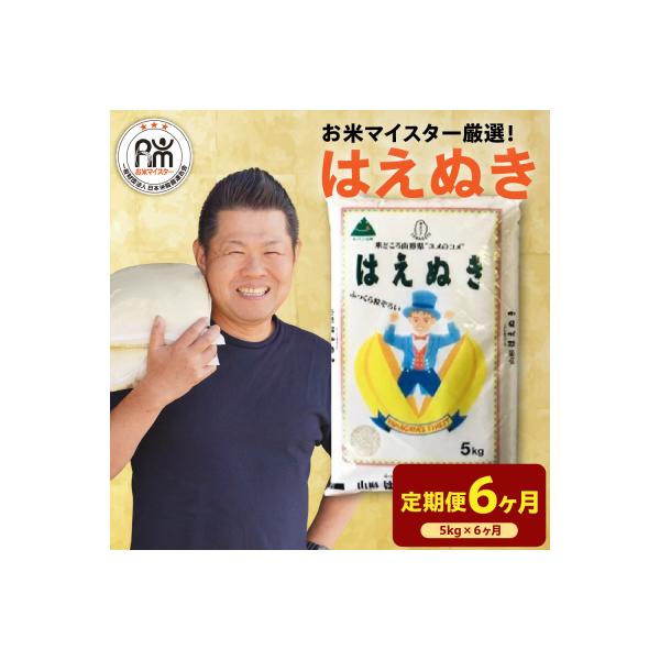 【先行予約】6ヶ月定期便 令和8年産 はえぬき 5kg × 6回 計30kg