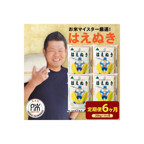 【先行予約】6ヶ月定期便 令和8年産 はえぬき 20kg × 6回 計120kg