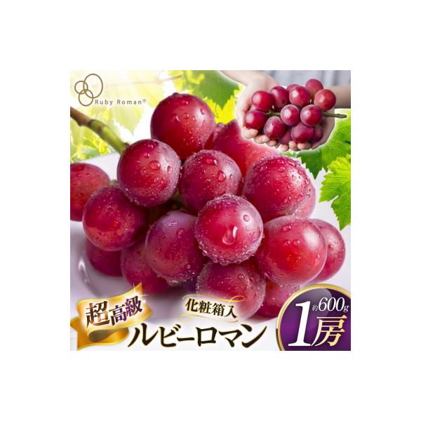 【期間限定発送】 超高級 ぶどう ルビーロマン 1房 約600g 化粧箱入 [38601393]
