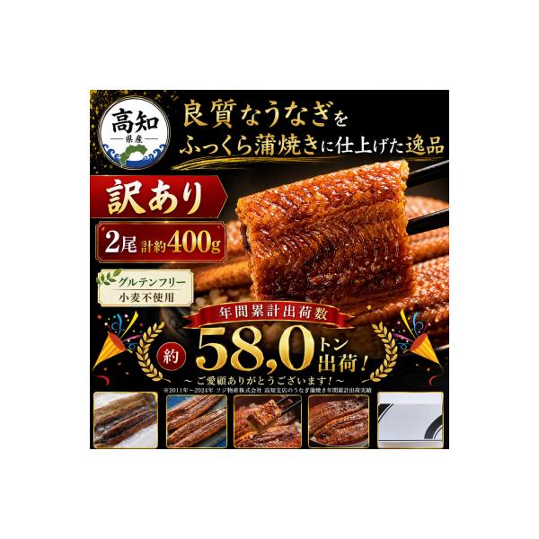 うなぎの蒲焼き人気 計400g 2尾 訳あり 国産 魚介類 加工品 海産物 商品 Sfb-0228