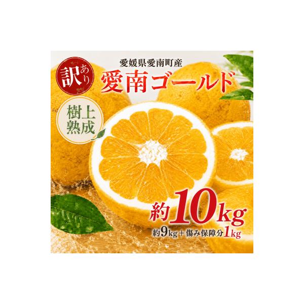 木成り 追熟 訳あり 愛南ゴールド 約10kg 河内晩柑 柑橘 みかん エニシトラス 愛媛県 愛南町