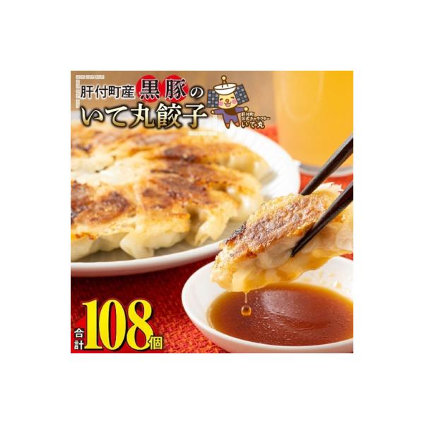 鹿児島県 肝付町産 黒豚 餃子 ギョーザ(計108個・12個入 9パック)【財宝】　A43089