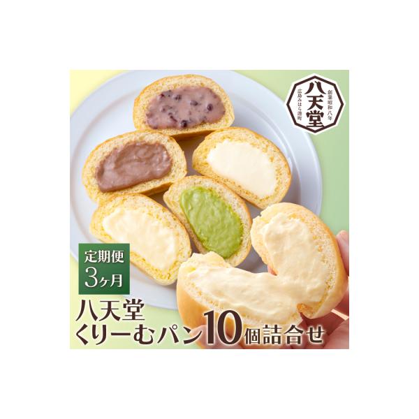 【3か月定期便】【八天堂】とろけるくりーむパン 10個詰合せ (5種×2個)  [015-062]