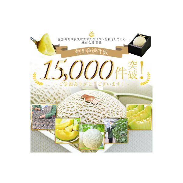 【7日程度で発送】訳あり メロン2玉入り 青肉 2個 家庭用 マスクメロン 数量限定 tn-0063