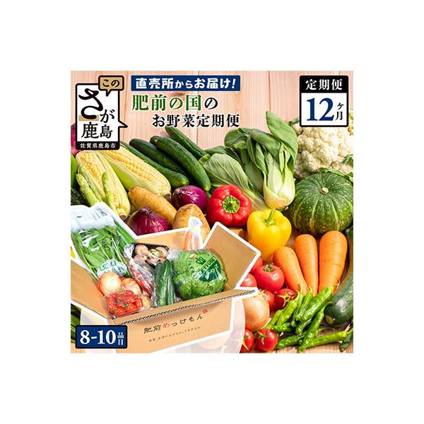 【毎月定期便】肥前の国のお野菜詰め合わせセット(鹿島市)全12回