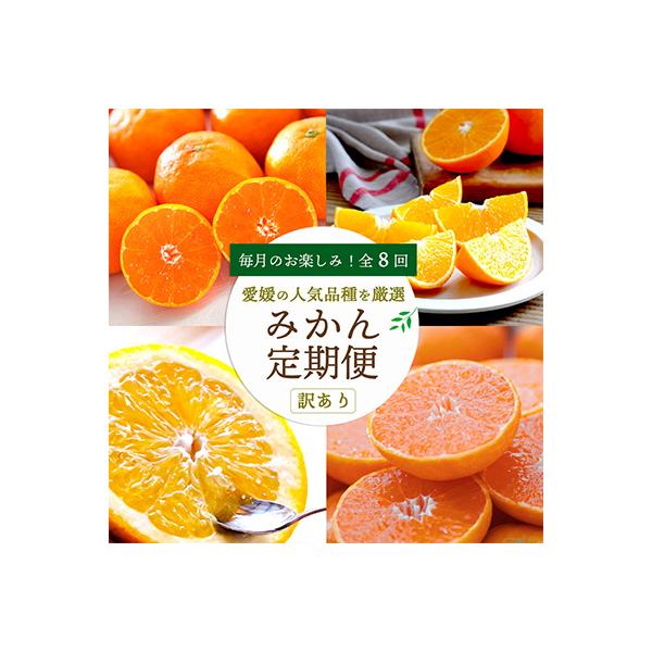 【発送月固定定期便】愛媛の人気品種を厳選! みかん定期便(訳あり)全8回【H25-117】