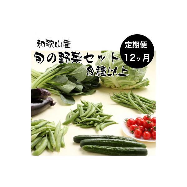 【毎月定期便】旬の新鮮野菜セット 8種以上(和歌山産)全12回