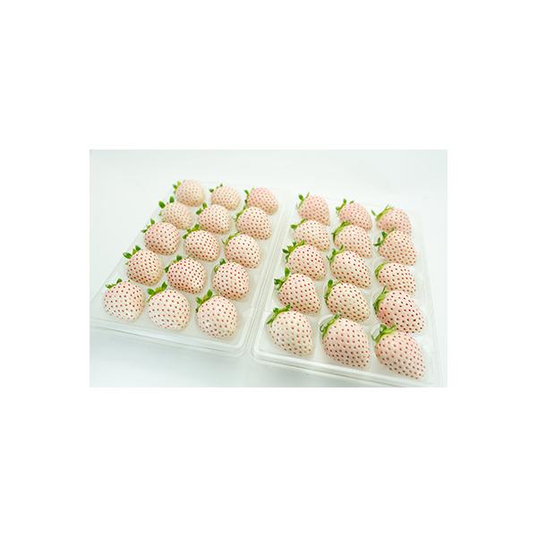 ■お礼品詳細　・配送種別：冷蔵便　・提供元：渋田いちご園■お申し込み・配送・その他　・発送時期：【1回目】発送月の前月20日までのお支払いで発送月上旬より発送開始【2回目以降】発送月上旬より順次発送　・申込受付期間：〜2026-01-06　...