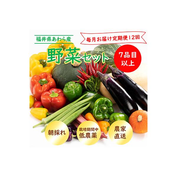 【毎月定期便】 農家直送 旬の野菜セット 7品目以上全12回