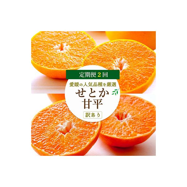 【発送月固定定期便】愛媛の人気2品種を堪能!せとか・甘平 食べ比べ(訳あり)全2回【H25-148】