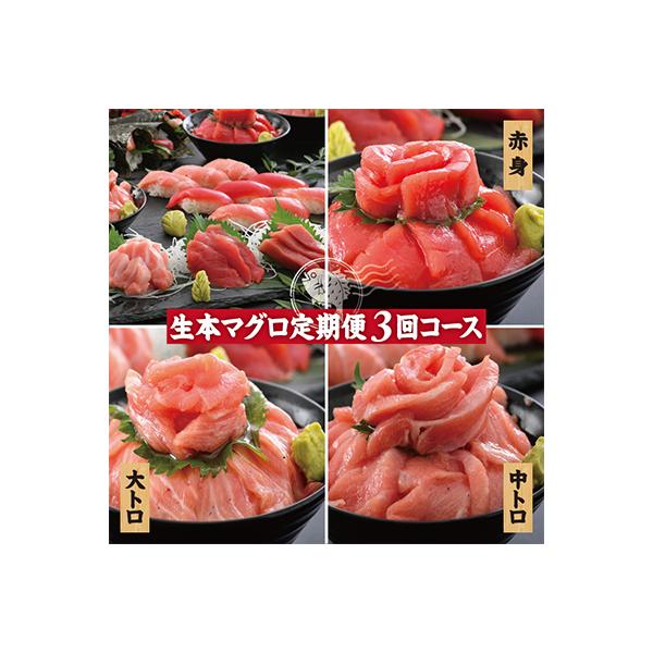 【毎月定期便】生本まぐろ【赤身・中トロ・大トロ】3種各150g全3回