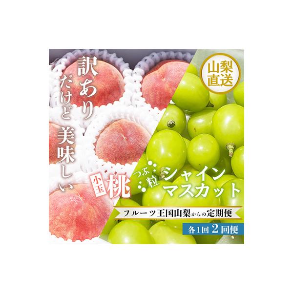 ふるさと納税 笛吹市 【発送月固定定期便】訳あり美味しい果物  小玉桃 粒シャインマスカット全2回