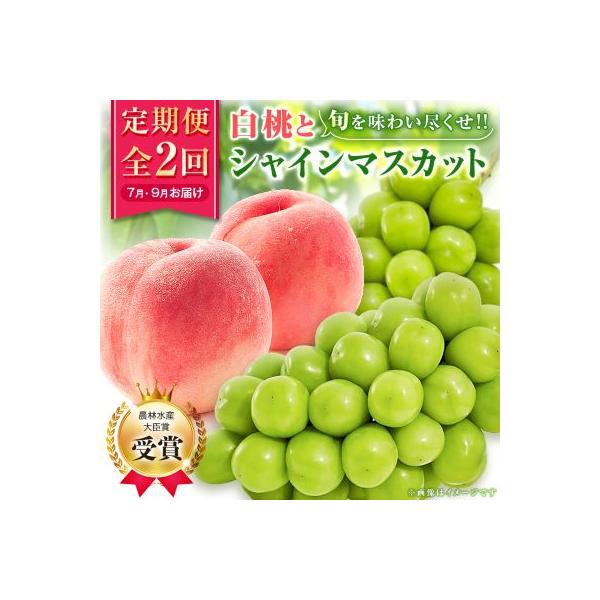 ふるさと納税 山梨市 【発送月固定定期便】【農林水産大臣賞受賞!!】山梨の白桃とシャインマスカットの全2回 各1kg以上