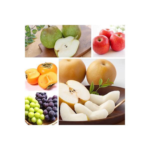 ■お礼品詳細　・配送種別：冷蔵便　・提供元：株式会社エナジーファーム■お申し込み・配送・その他　・発送時期：【1回目】発送月の前月末日までのお支払いで発送月中旬より発送開始【2回目以降】発送月中旬より順次発送　・申込受付期間：2025-12...