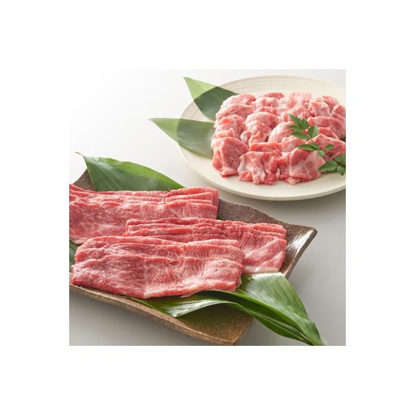 【毎月定期便】佐賀牛 切り落とし500g×2p 全3回