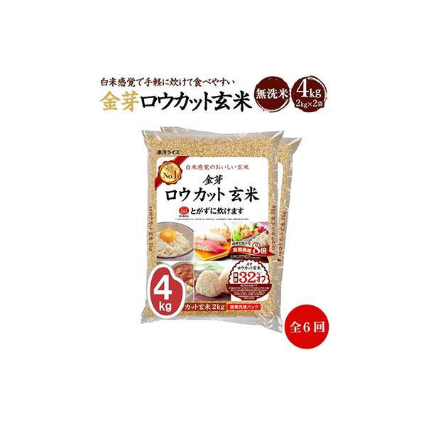 ふるさと納税 和歌山市 【毎月定期便】金芽ロウカット玄米(無洗米) 4kg