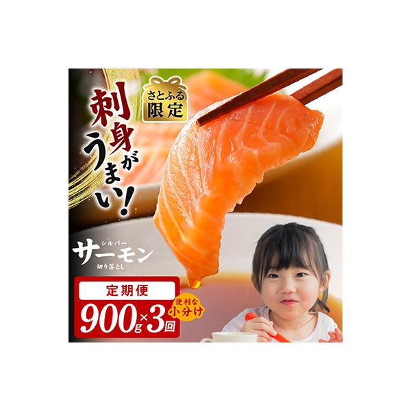 【毎月定期便】【さとふる限定】サーモン 切り落とし 総量2.7kg 900g×全3回