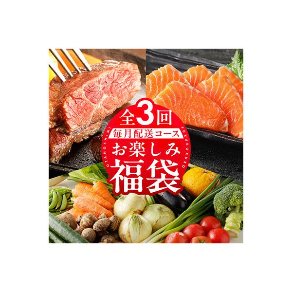 【毎月定期便】泉佐野 お楽しみ福袋(牛肉 ステーキ 海鮮 サーモン 野菜)全3回