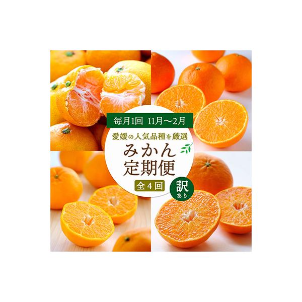 【発送月固定定期便】愛媛の人気品種!かんきつ定期便 11月～2月(訳あり)全4回【H25-155】