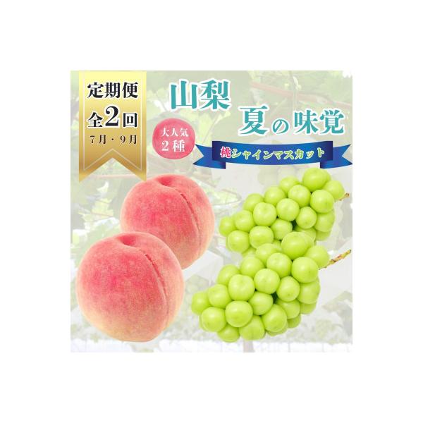 【発送月固定定期便】山梨夏の味覚定期便〈桃 約2kg/シャインマスカット 1.1kg以上〉全2回