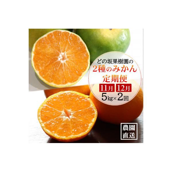 【発送月固定定期便】みかん好きのためのみかん定期便(ゆら早生みかん・完熟みかん)　各5kg　全2回