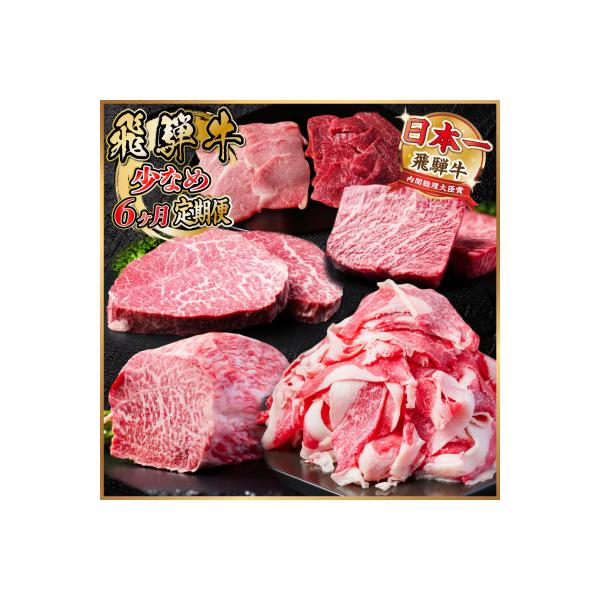 【毎月定期便】飛騨牛 少なめ定期便 計2.5kg 全6回コース、切り落とし、焼肉、赤身ブロック肉