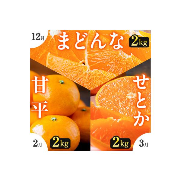 【発送月固定定期便】「こたつの上の冬物語」高級3品種　まどんな+甘平+せとか【H49-73】全3回