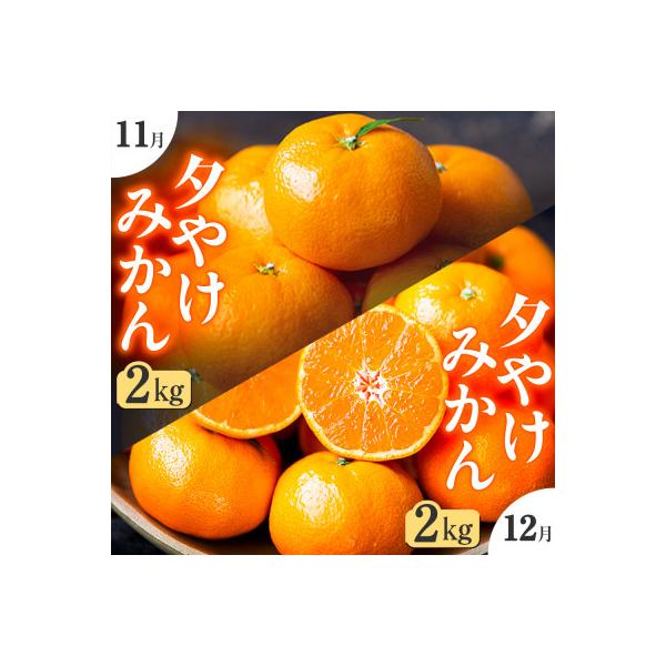 【発送月固定定期便】「こたつの上の冬物語」夕やけみかん(2kg)【C49-74】全2回