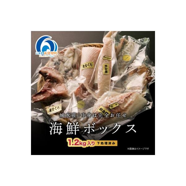 【2ヵ月毎定期便】訳あり 伊勢志摩産 海鮮 お宝ボックス 約1.2kg 特産の刺身、干物など全3回