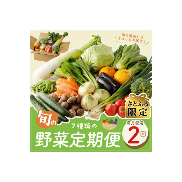 【毎月定期便】【さとふる限定】新鮮野菜 7種類以上 詰め合わせ 全2回