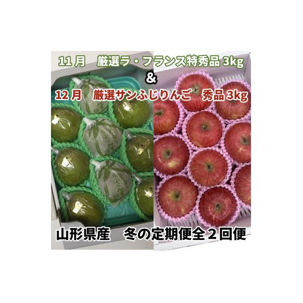 ■お礼品詳細　・配送種別：通常　・提供元：ペイスマルシェ■お申し込み・配送・その他　・発送時期：【1回目】発送月の前月末日までのお支払いで発送月中旬より順次発送【2回目以降】発送月中旬より順次発送　・申込受付期間：〜2026-10-31　・...