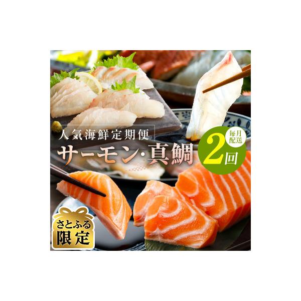 【毎月定期便】【さとふる限定】人気海鮮 サーモン/真鯛 お刺身 食べ比べ 全2回