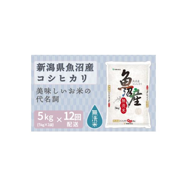 【毎月定期便】無洗米 新潟県 魚沼産 コシヒカリ 5kg全12回