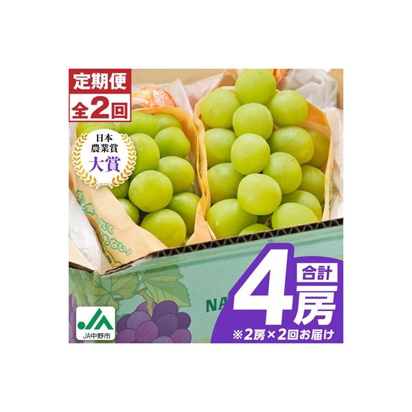 【発送月固定定期便】〈2026年発送〉シャインマスカット2房1kg以上　JA中野市から直送全2回