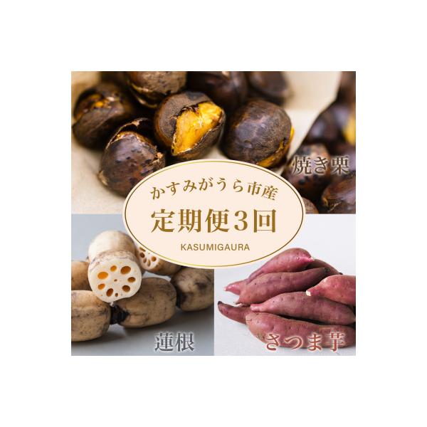 ■お礼品詳細　・配送種別：冷蔵便　・提供元：かすみマルシェ■お申し込み・配送・その他　・発送時期：【1回目】発送月の前月20日までのお支払いで発送月上旬より順次発送【2回目以降】発送月上旬より順次発送　・申込受付期間：通年　・配達外のエリア...