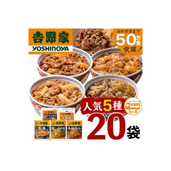 【毎月定期便】吉野家 人気5種20袋 牛丼の具など詰め合わせセット(冷凍)全6回