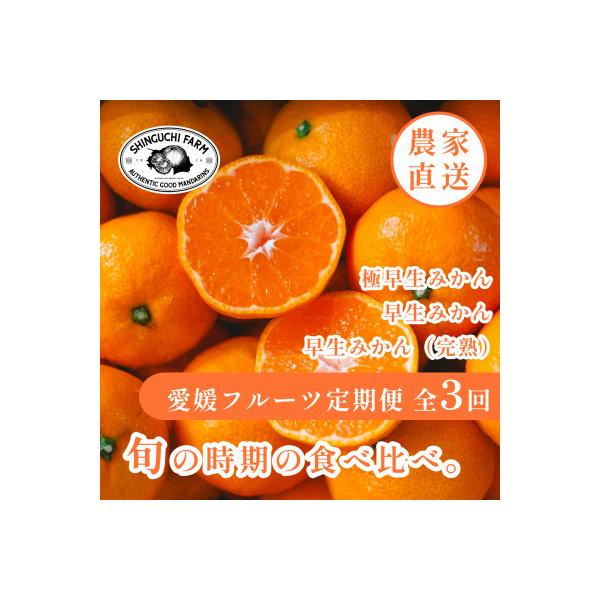 【発送月固定定期便】「時期による味の違いを楽しむ」愛媛みかんの旬を食べ比べ【F70-82】全3回