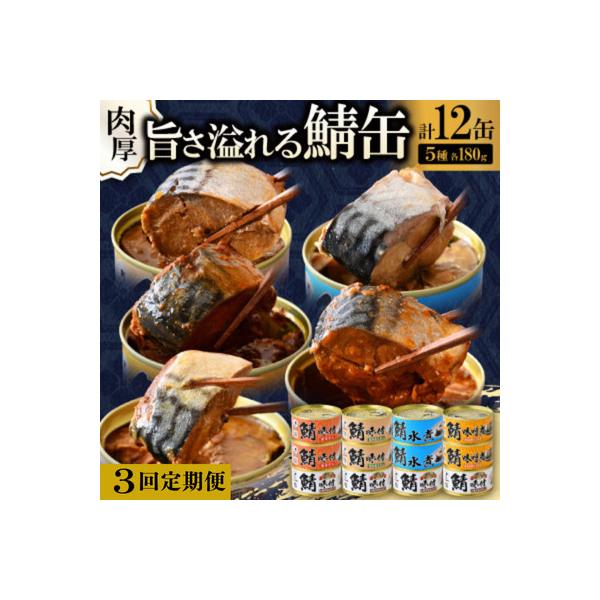 【2ヵ月毎定期便】鯖缶詰12缶 A(醤油・唐辛子・生姜・噌煮煮・水煮)肉厚ジューシー贅沢さば缶全3回