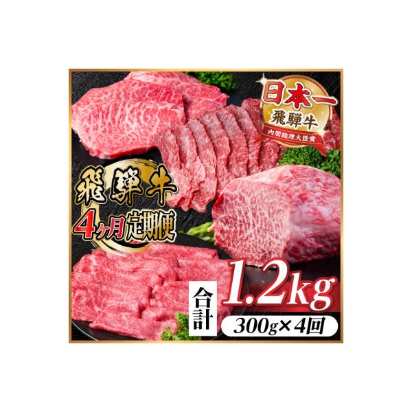 【毎月定期便】飛騨牛 赤身定期便 計1.2kg 焼肉 BBQ すき焼き しゃぶしゃぶ ブロック全4回