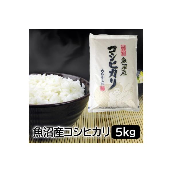 【発送月固定定期便】お米マイスター厳選!魚沼産コシヒカリ 5kg全12回