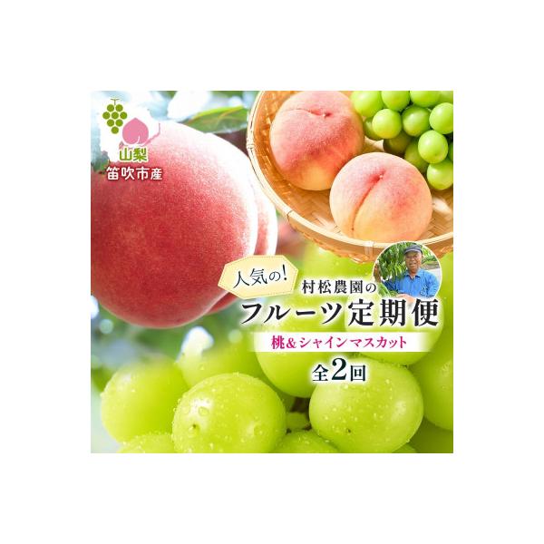 ■お礼品詳細　・配送種別：冷蔵便　・提供元：日本ふるさと創生株式会社（村松農園）■お申し込み・配送・その他　・発送時期：【1回目】発送月の前月20日までのお支払いで発送月上旬より順次発送【2回目以降】発送月上旬より順次発送　・申込受付期間：...