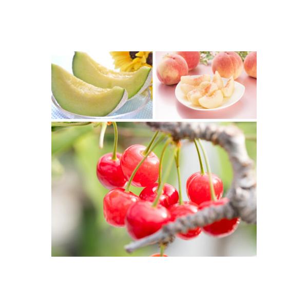 ■お礼品詳細　・配送種別：冷蔵便　・提供元：株式会社エナジーファーム■お申し込み・配送・その他　・発送時期：【1回目】発送月の前月20日までのお支払いで発送月上旬より順次発送【2回目以降】発送月上旬より順次発送　・申込受付期間：通年　・配達...