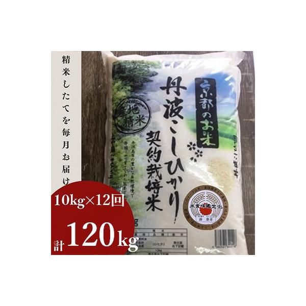 【毎月定期便】京都丹波産 お米 コシヒカリ 精米 10kg 米定期便 12ヶ月 全12回