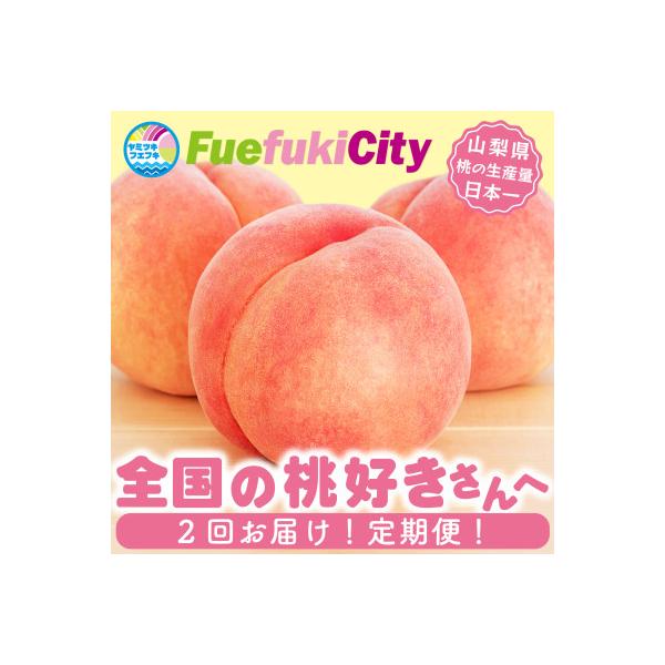 ■お礼品詳細　・配送種別：冷蔵便　・提供元：有限会社百花（笛吹市）■お申し込み・配送・その他　・発送時期：【1回目】発送月の前月末日までのお支払いで発送月中旬より順次発送【2回目以降】発送月中旬より順次発送　・申込受付期間：〜2026-05...